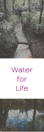 Water for Life bookmark front